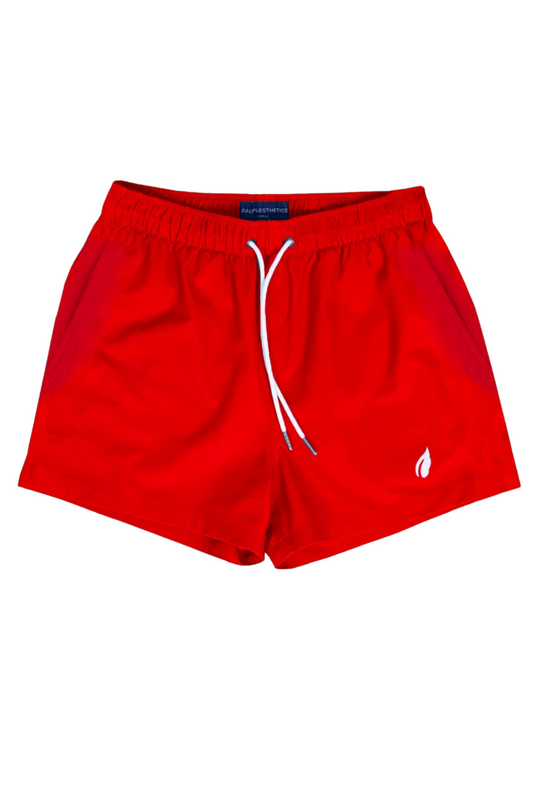 TRITON SWIM SHORT - VENETIAN RED